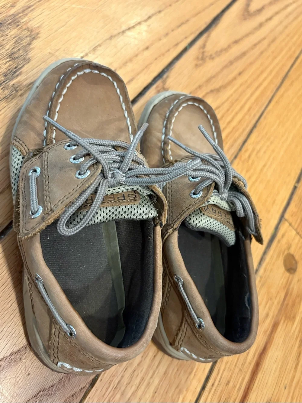 Sperry nice boys